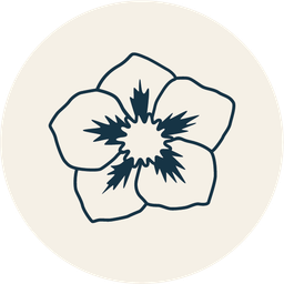 Elebora