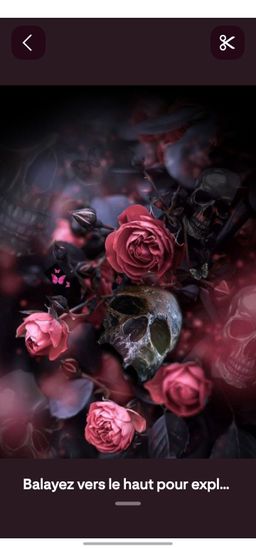 SkullVinabooks