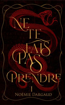 NE TE FAIS PAS PRENDRE