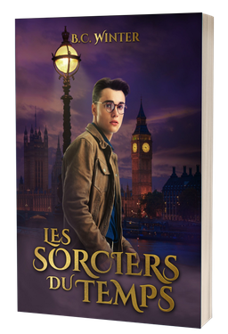 Broché - Les Sorciers du Temps