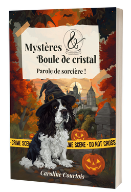 Broché - Mystères et boule de cristal 2