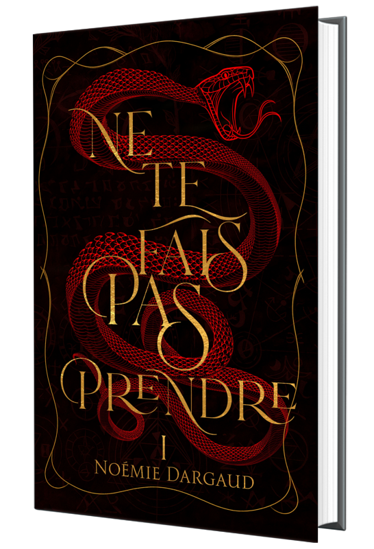 NE TE FAIS PAS PRENDRE