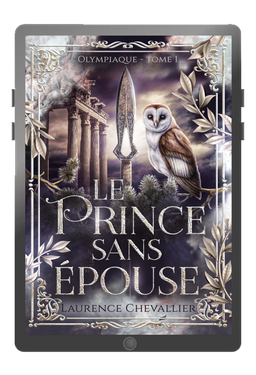 Ebook - Le prince sans épouse