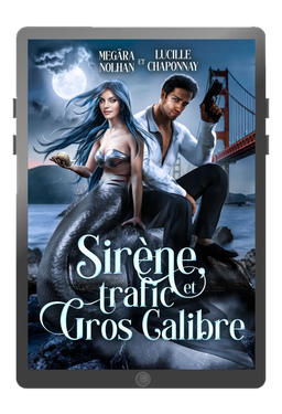 Ebook - Sirène, trafic et gros calibre