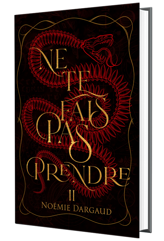NE TE FAIS PAS PRENDRE