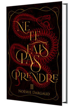 NE TE FAIS PAS PRENDRE