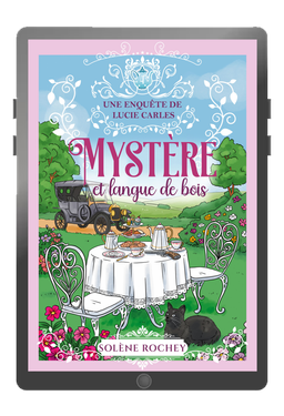 Ebook - Mystère et langue de bois