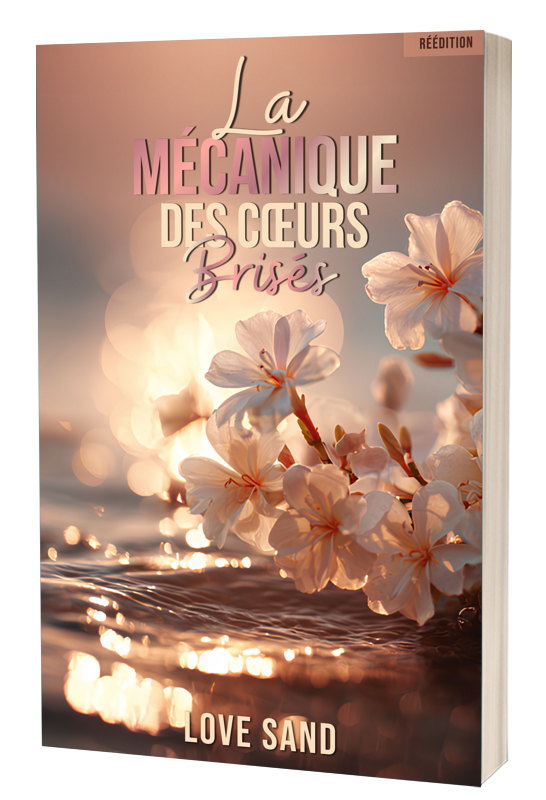 La Mécanique des cœurs brisés