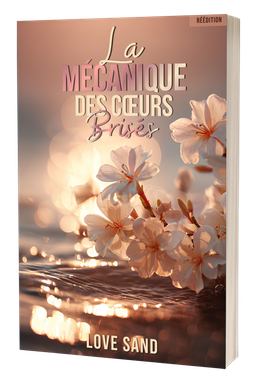 La Mécanique des cœurs brisés