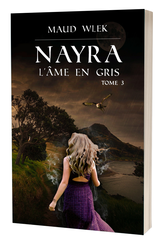 L'âme en gris