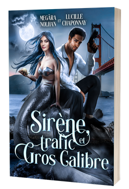 Sirène, trafic et gros calibre
